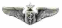 Air Force Senior Flight Nurse badge in old silver finish - Saunders Military Insignia