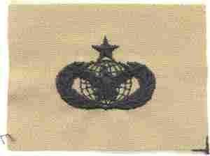 AIR FORCE SENIOR FORCE PROTECTION BADGE IN SUBDUED CLOTH - Saunders Military Insignia