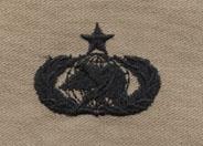 AIR FORCE SENIOR FUEL SUPPLY BADGE IN DESERT CLOTH - Saunders Military Insignia
