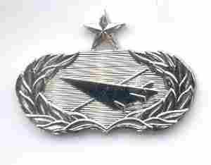Air Force Senior Historian Badge