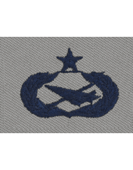 AIR FORCE SENIOR HISTORIAN BADGE ON ABU CLOTH - Saunders Military Insignia