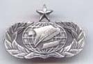 Air Force Senior Information Management badge in old silver finish