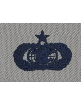 AIR FORCE SENIOR INFORMATION MANAGEMENT BADGE ON ABU CLOTH - Saunders Military Insignia