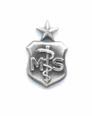 Air Force Senior Medical Service Badge in old service finish - Saunders Military Insignia