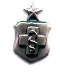 Air Force Senior Medical Technologist badge in old silver finish