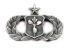 Air Force Senior Meterorologist badge in old silver finish - Saunders Military Insignia