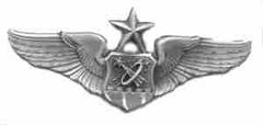 Air Force Senior Navigator Astronaut badge in old silver badge - Saunders Military Insignia