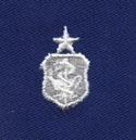 Air Force senior Nurse Badge in blue cloth - Saunders Military Insignia
