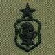 AIR FORCE SENIOR NURSE BADGE ON ABU CLOTH - Saunders Military Insignia