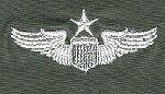 AIR FORCE SENIOR PILOT WING IN SUBDUED CLOTH