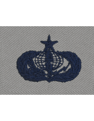 AIR FORCE SENIOR SERVICES BADGE ON ABU CLOTH - Saunders Military Insignia