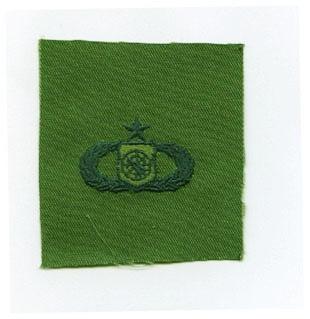AIR FORCE SENIOR WEAPONS CONTROLLER BADGE ON SUBDUED CLOTH