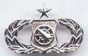Air Force Senior Weapons Controller Badge or Wing