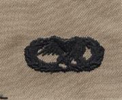 Air Force Transportation Badge in Desert cloth