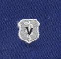 Air Force Veterinarian Badge in blue cloth
