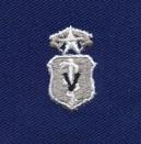 Air Force Veterinarian Chief Badge in blue cloth - Saunders Military Insignia