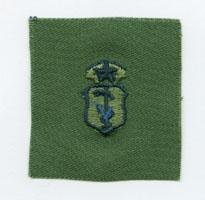Air Force Veterinarian Chief Badge in subdued cloth - Saunders Military Insignia
