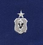 Air Force Veterinarian Senior Badge in blue cloth