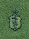Air Force Veterinarian Senior badge in subdued cloth