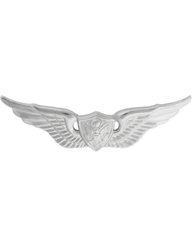 Aircraft Crewman basic wing
