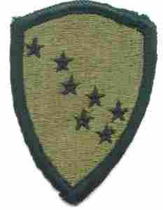 Alaska National Guard Subdued Patch - US Army Military Insignia