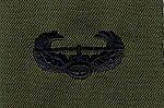 Army Air Assault wing. Sew on badge in subdued cloth. - Saunders Military Insignia
