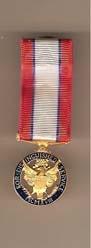 Army Dstinguished Service Miniature Medal - Saunders Military Insignia