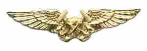 Astronant Flight Officer US Navy wing - Saunders Military Insignia