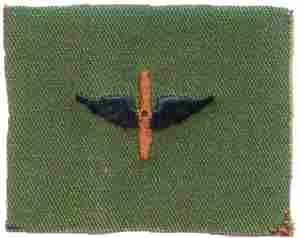 Aviation Army Branch of Service insignia