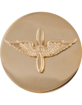 Aviation Enlisted branch of service collar insignia
