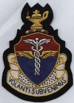 Aviation Medical School (AAF) Patch - Saunders Military Insignia