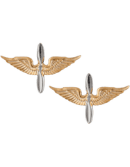 Aviation Officer Army branch of service badge