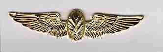 Aviation Psychological Operations Navy Wing - Saunders Military Insignia
