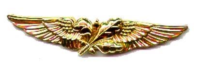 Aviation Supply Officer Navy Badge (Officer) - Saunders Military Insignia