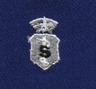 Biomedical Science Chief Badge in Blue Cloth - Saunders Military Insignia