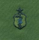 Biomedical Science Senior Badge in subdued cloth
