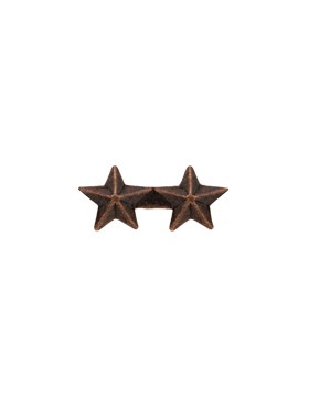 Bronze Star 2 stars on a bar Ribbon Device