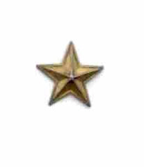 Bronze star French Medal Full Size - Saunders Military Insignia