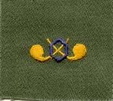 Chemical Warfare sew on badge Badge, cloth, Olive Drab