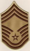 Chief Master Sergeant USAF Chevero (1994- - Saunders Military Insignia