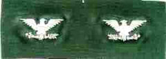 Colonel Sage Green USAF Off. Rank, pair