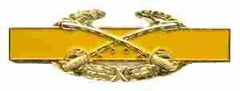 Combat Cavalry Badge in Enamel Metal