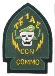 Command and Control Task Force 1AE Commo (Special Forces) Patch