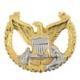 COMMAND ASHORE, Badge - Saunders Military Insignia