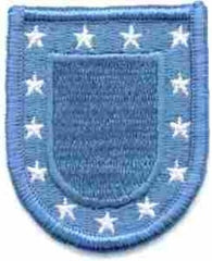 US Army beret flash