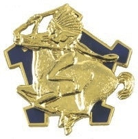 US Army 9th Cavalry Regiment Unit Crest