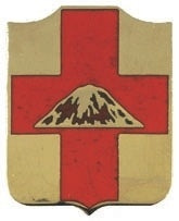 US Army 56th Medical Battalion Unit Crest