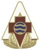 US Army 75th Combat Support Hospital Unit Crest