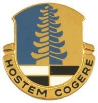US Army 319th Military Intelligence Battalion Unit Crest