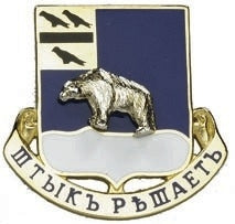 US Army 339th Regiment Unit Crest
